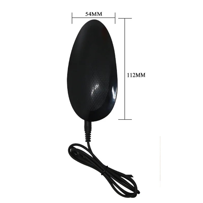 New Wired Remote - Vibe Leather Panties Dildo Set: Seahorse - Shaped Realistic Design, Perfect for Lesbian Intimate Adventures